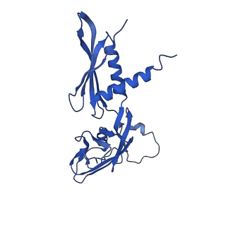 4882_6rh3_A_v1-2
Cryo-EM structure of E. coli RNA polymerase elongation complex bound to CTP substrate