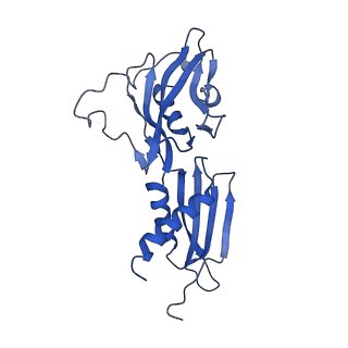 4882_6rh3_B_v1-2
Cryo-EM structure of E. coli RNA polymerase elongation complex bound to CTP substrate