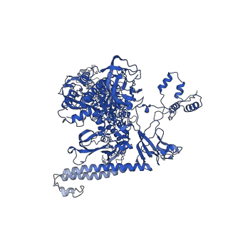 4882_6rh3_C_v1-2
Cryo-EM structure of E. coli RNA polymerase elongation complex bound to CTP substrate