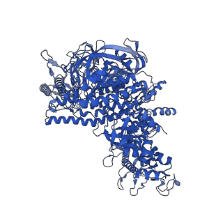 4882_6rh3_D_v1-2
Cryo-EM structure of E. coli RNA polymerase elongation complex bound to CTP substrate