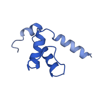 4882_6rh3_E_v1-2
Cryo-EM structure of E. coli RNA polymerase elongation complex bound to CTP substrate