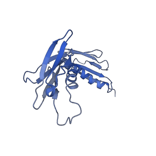 4884_6ri5_F_v1-1
Cryo-EM structures of Lsg1-TAP pre-60S ribosomal particles