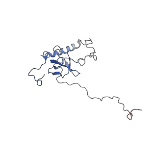 4884_6ri5_G_v1-1
Cryo-EM structures of Lsg1-TAP pre-60S ribosomal particles