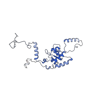 4884_6ri5_H_v1-1
Cryo-EM structures of Lsg1-TAP pre-60S ribosomal particles