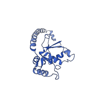 4884_6ri5_J_v1-1
Cryo-EM structures of Lsg1-TAP pre-60S ribosomal particles