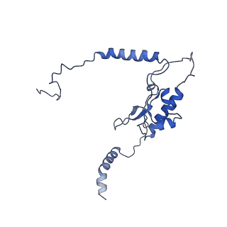 4884_6ri5_K_v1-1
Cryo-EM structures of Lsg1-TAP pre-60S ribosomal particles