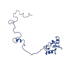 4884_6ri5_N_v1-1
Cryo-EM structures of Lsg1-TAP pre-60S ribosomal particles