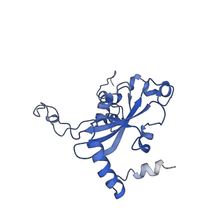 4884_6ri5_O_v1-1
Cryo-EM structures of Lsg1-TAP pre-60S ribosomal particles