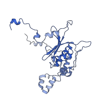 4884_6ri5_P_v1-1
Cryo-EM structures of Lsg1-TAP pre-60S ribosomal particles