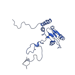 4884_6ri5_Q_v1-1
Cryo-EM structures of Lsg1-TAP pre-60S ribosomal particles