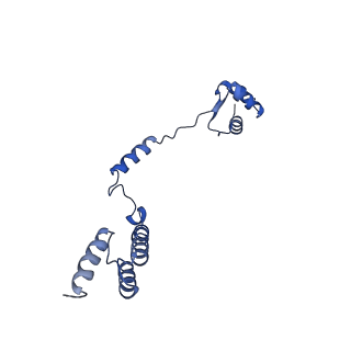 4884_6ri5_R_v1-1
Cryo-EM structures of Lsg1-TAP pre-60S ribosomal particles