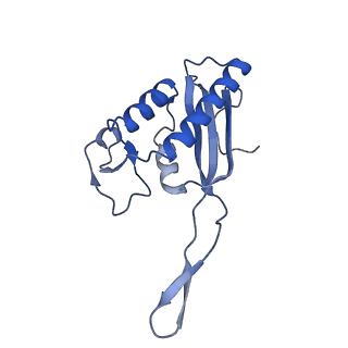 4884_6ri5_U_v1-1
Cryo-EM structures of Lsg1-TAP pre-60S ribosomal particles