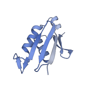 4884_6ri5_V_v1-1
Cryo-EM structures of Lsg1-TAP pre-60S ribosomal particles