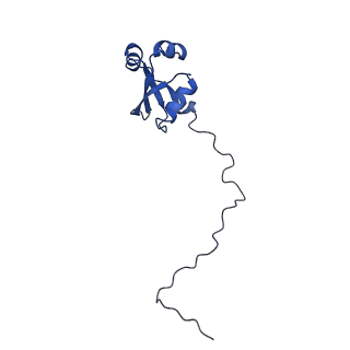 4884_6ri5_W_v1-1
Cryo-EM structures of Lsg1-TAP pre-60S ribosomal particles