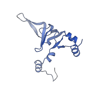 4884_6ri5_X_v1-1
Cryo-EM structures of Lsg1-TAP pre-60S ribosomal particles