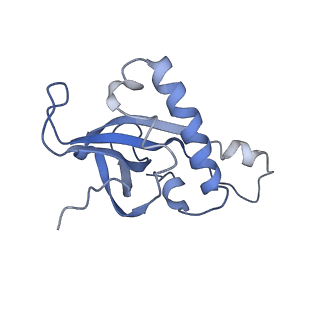 4884_6ri5_Y_v1-1
Cryo-EM structures of Lsg1-TAP pre-60S ribosomal particles