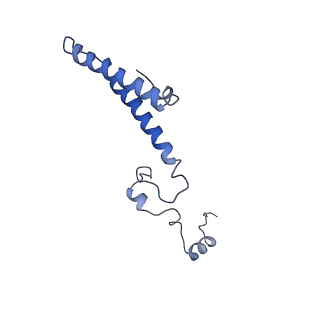 4884_6ri5_Z_v1-1
Cryo-EM structures of Lsg1-TAP pre-60S ribosomal particles