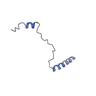 4884_6ri5_a_v1-1
Cryo-EM structures of Lsg1-TAP pre-60S ribosomal particles