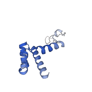 4884_6ri5_h_v1-1
Cryo-EM structures of Lsg1-TAP pre-60S ribosomal particles