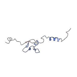 4884_6ri5_i_v1-1
Cryo-EM structures of Lsg1-TAP pre-60S ribosomal particles