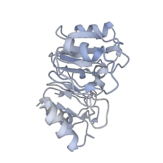 4884_6ri5_n_v1-1
Cryo-EM structures of Lsg1-TAP pre-60S ribosomal particles