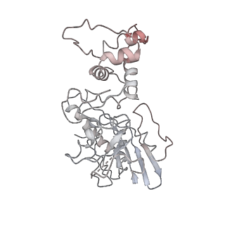 4884_6ri5_o_v1-1
Cryo-EM structures of Lsg1-TAP pre-60S ribosomal particles