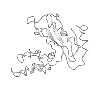 4884_6ri5_p_v1-1
Cryo-EM structures of Lsg1-TAP pre-60S ribosomal particles