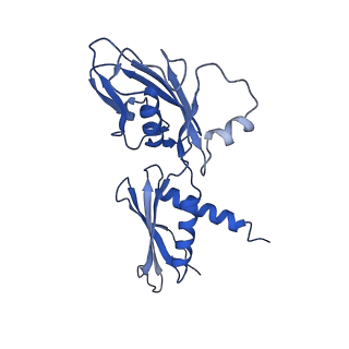 4885_6ri7_A_v1-2
Cryo-EM structure of E. coli RNA polymerase elongation complex bound to GreB transcription factor
