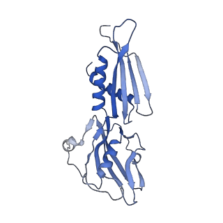 4885_6ri7_B_v1-2
Cryo-EM structure of E. coli RNA polymerase elongation complex bound to GreB transcription factor