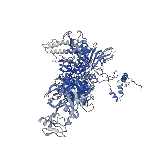 4885_6ri7_C_v1-2
Cryo-EM structure of E. coli RNA polymerase elongation complex bound to GreB transcription factor