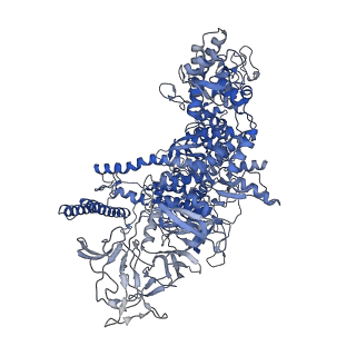 4885_6ri7_D_v1-2
Cryo-EM structure of E. coli RNA polymerase elongation complex bound to GreB transcription factor