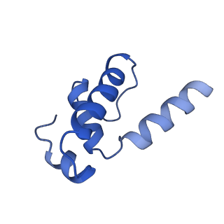 4885_6ri7_E_v1-2
Cryo-EM structure of E. coli RNA polymerase elongation complex bound to GreB transcription factor