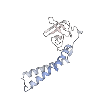 4885_6ri7_G_v1-2
Cryo-EM structure of E. coli RNA polymerase elongation complex bound to GreB transcription factor