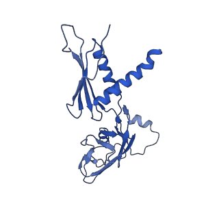 4886_6ri9_A_v1-2
Cryo-EM structure of E. coli RNA polymerase backtracked elongation complex in non-swiveled state