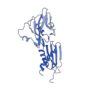 4886_6ri9_B_v1-2
Cryo-EM structure of E. coli RNA polymerase backtracked elongation complex in non-swiveled state