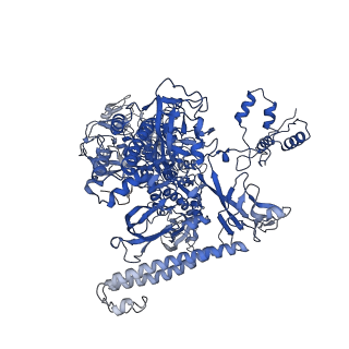 4886_6ri9_C_v1-2
Cryo-EM structure of E. coli RNA polymerase backtracked elongation complex in non-swiveled state