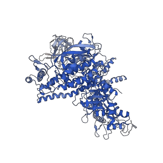 4886_6ri9_D_v1-2
Cryo-EM structure of E. coli RNA polymerase backtracked elongation complex in non-swiveled state