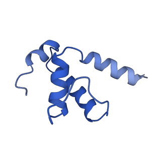 4886_6ri9_E_v1-2
Cryo-EM structure of E. coli RNA polymerase backtracked elongation complex in non-swiveled state