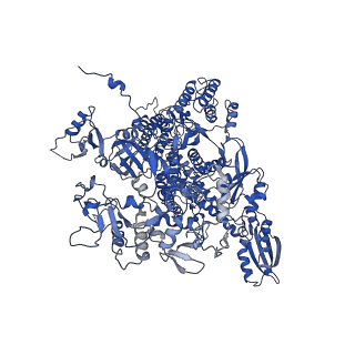 4888_6ric_A_v1-1
Structure of the core Vaccinia Virus DNA-dependent RNA polymerase complex