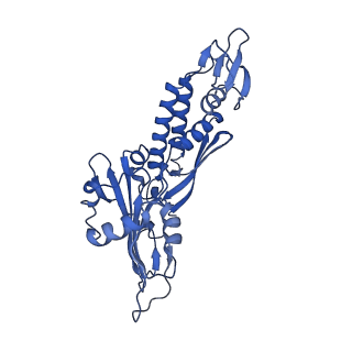 4888_6ric_C_v1-1
Structure of the core Vaccinia Virus DNA-dependent RNA polymerase complex
