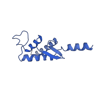 4888_6ric_F_v1-1
Structure of the core Vaccinia Virus DNA-dependent RNA polymerase complex