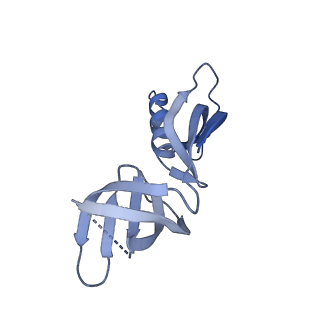 4888_6ric_G_v1-1
Structure of the core Vaccinia Virus DNA-dependent RNA polymerase complex
