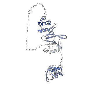 4888_6ric_I_v1-1
Structure of the core Vaccinia Virus DNA-dependent RNA polymerase complex