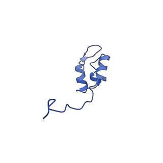 4888_6ric_J_v1-1
Structure of the core Vaccinia Virus DNA-dependent RNA polymerase complex