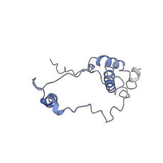 4888_6ric_S_v1-1
Structure of the core Vaccinia Virus DNA-dependent RNA polymerase complex