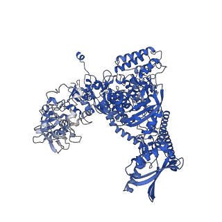 4889_6rid_A_v1-1
Structure of Vaccinia Virus DNA-dependent RNA polymerase elongation complex