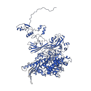 4889_6rid_B_v1-1
Structure of Vaccinia Virus DNA-dependent RNA polymerase elongation complex