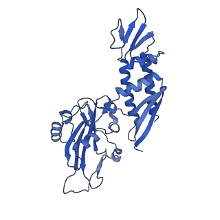 4889_6rid_C_v1-1
Structure of Vaccinia Virus DNA-dependent RNA polymerase elongation complex