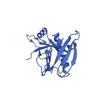 4889_6rid_E_v1-1
Structure of Vaccinia Virus DNA-dependent RNA polymerase elongation complex
