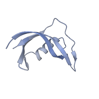 4889_6rid_G_v1-1
Structure of Vaccinia Virus DNA-dependent RNA polymerase elongation complex